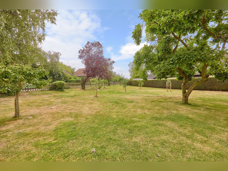 Riding facility near Hanover – well-maintained stables, professional training facilities, and four a