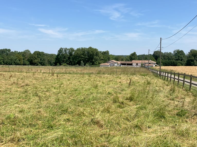 Riding School or Equestrian Center