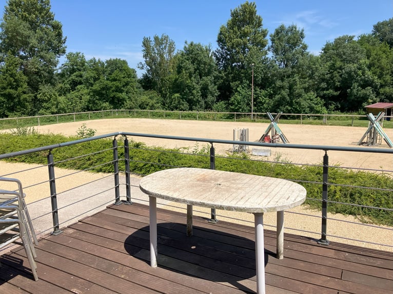 Riding School or Equestrian Center