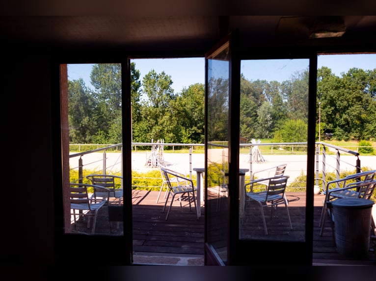Riding School or Equestrian Center