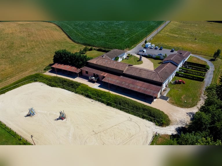 Riding School or Equestrian Center