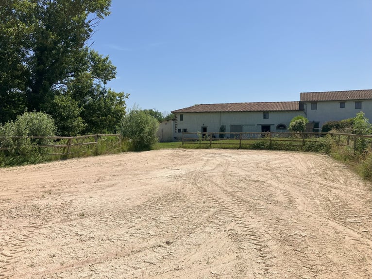 Riding School or Equestrian Center