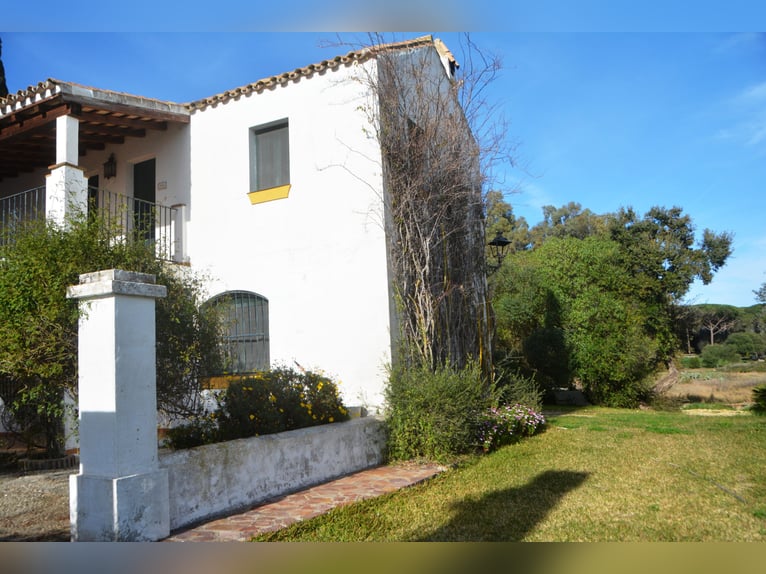 Ruhe pur - Finca in Vejer