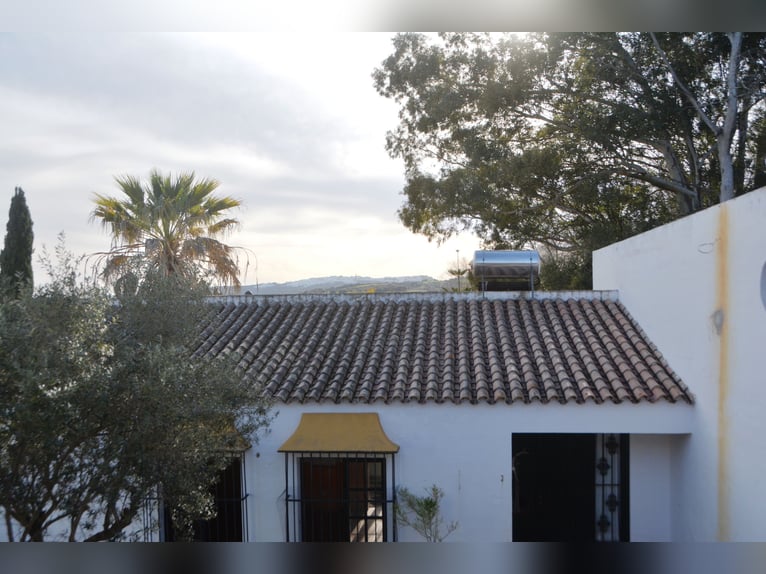 Ruhe pur - Finca in Vejer