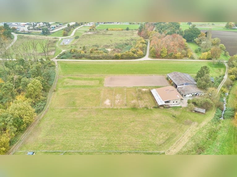 Ruhig gelegener Pferdehof in Lorsch an der Bergstraße mit romantischem Holzhaus!