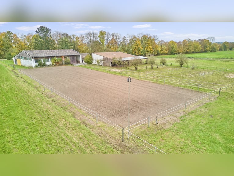 Ruhig gelegener Pferdehof in Lorsch an der Bergstraße mit romantischem Holzhaus!