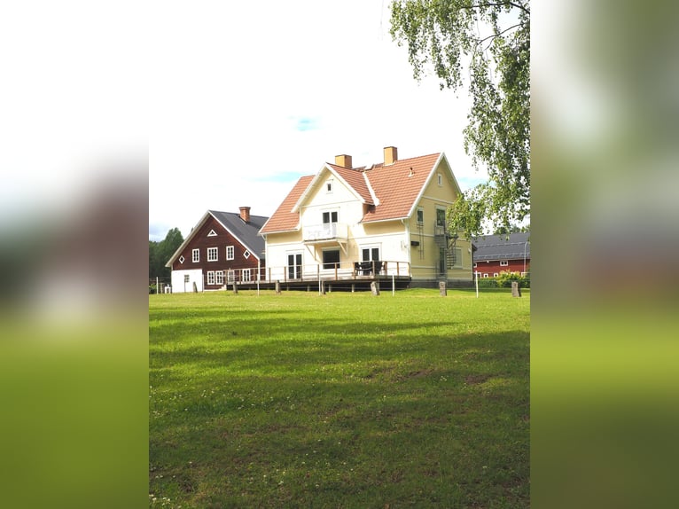 Schweden - Einzigartiger Pferdehof zum Verkauf angeboten!