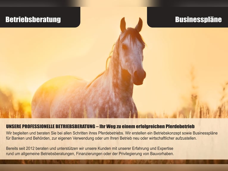 SECRET SALE – Exclusive riding estate with an established horse operation in Upper Franconia