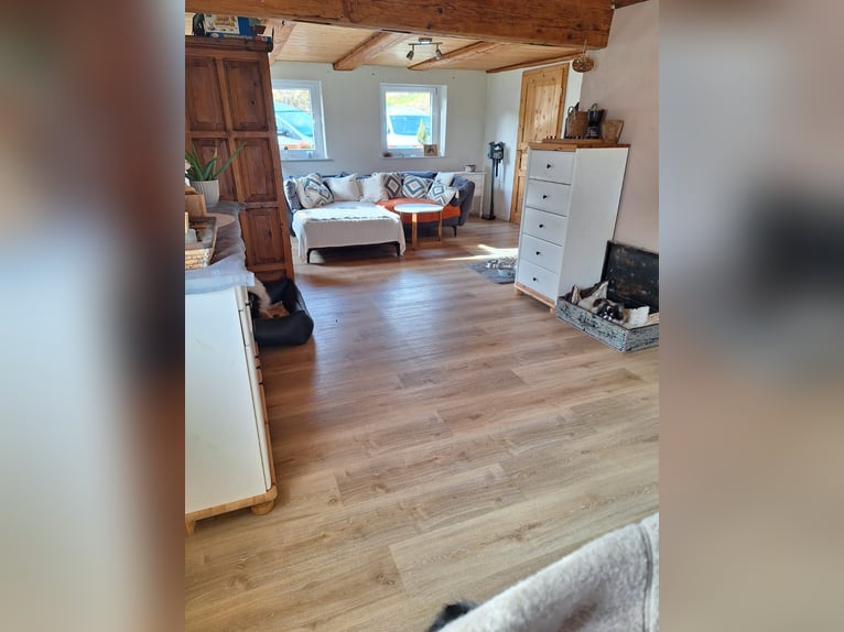 Small equestrian farm near Lake Constance for sale.