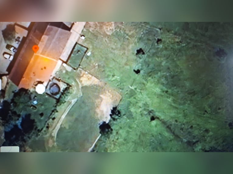 Small equestrian farm near Lake Constance for sale.