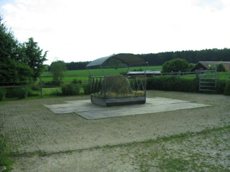 Small open stable in Altstetten/Erdweg has a free space available.