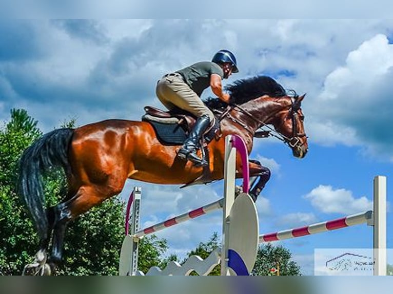 SOLD: A luxurious riding facility for the top segment near Munich, Germany