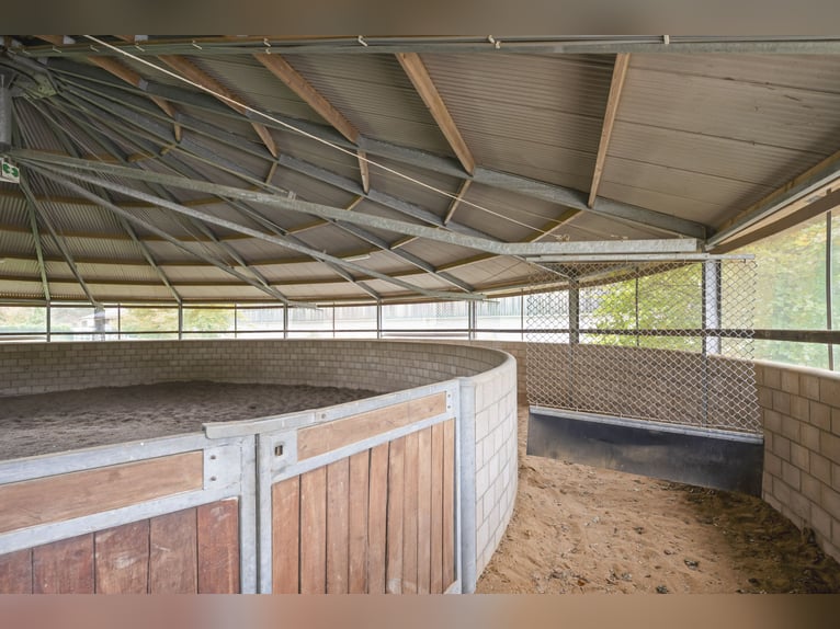 SOLD: Complete riding facility with country house near the German border in the Netherlands.