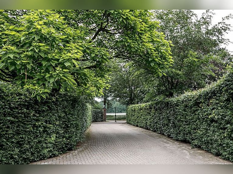 SOLD: Complete riding facility with country house near the German border in the Netherlands.