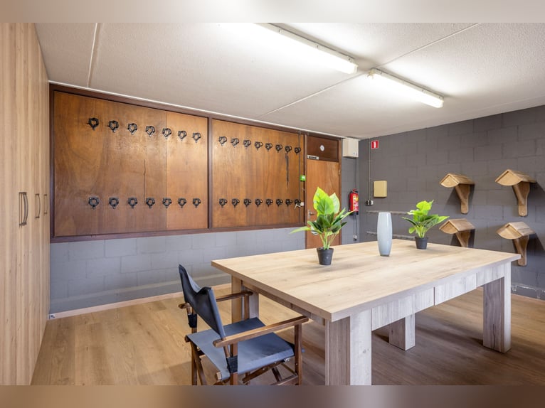 SOLD: Complete riding facility with country house near the German border in the Netherlands.