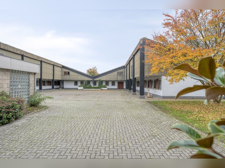 SOLD: Complete riding facility with country house near the German border in the Netherlands.