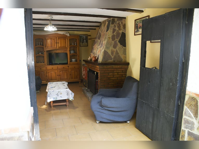 South of Spain. Equestrian farm and country house