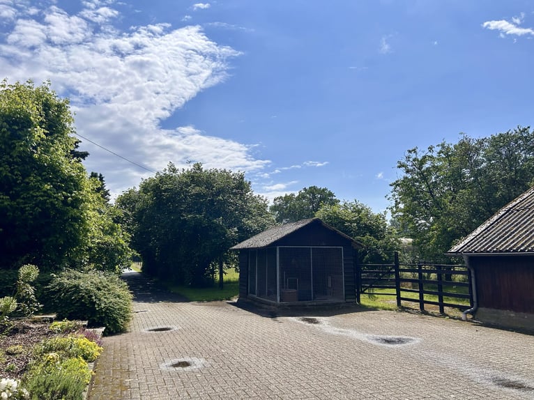 Spacious country house with equestrian facilities, riding arena, and a stunning park-like garden in 