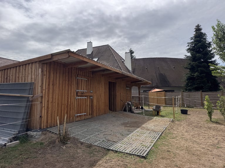 Spacious equestrian estate featuring an exceptional residence, five living units, an indoor riding a