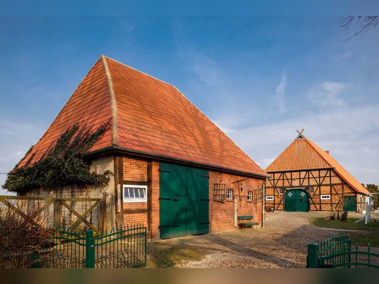 Spacious estate with equestrian facilities, holiday apartment, building plots, and a versatile devel