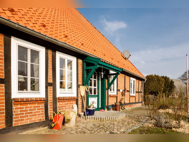 Spacious estate with equestrian facilities, holiday apartment, building plots, and versatile usage o
