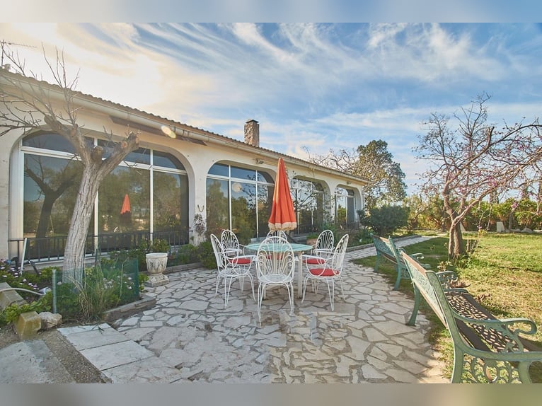 Spectacular Equestrian Farm with a Chalet Near the Beach