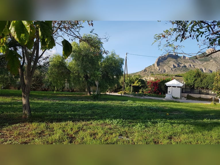 Spectacular Equestrian Farm with a Chalet Near the Beach