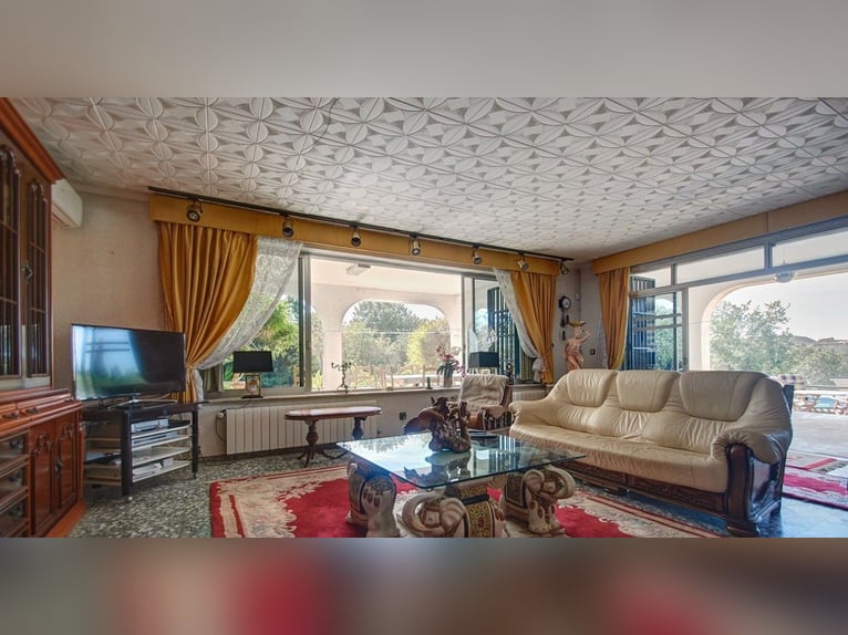 Spectacular Equestrian Farm with a Chalet Near the Beach