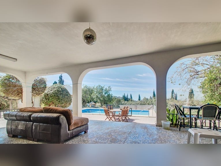 Spectacular Equestrian Farm with a Chalet Near the Beach