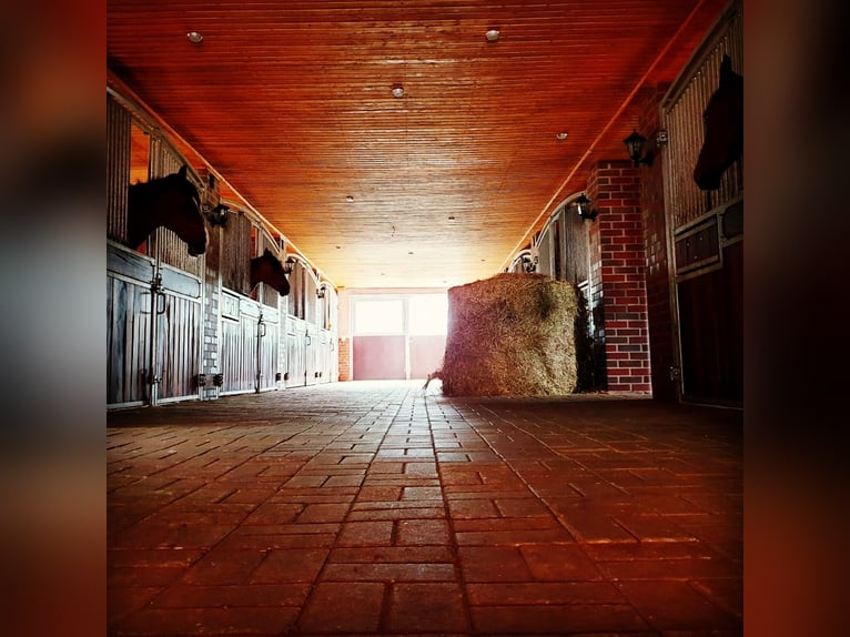 Stable block for rent in Herzlake, Emsland