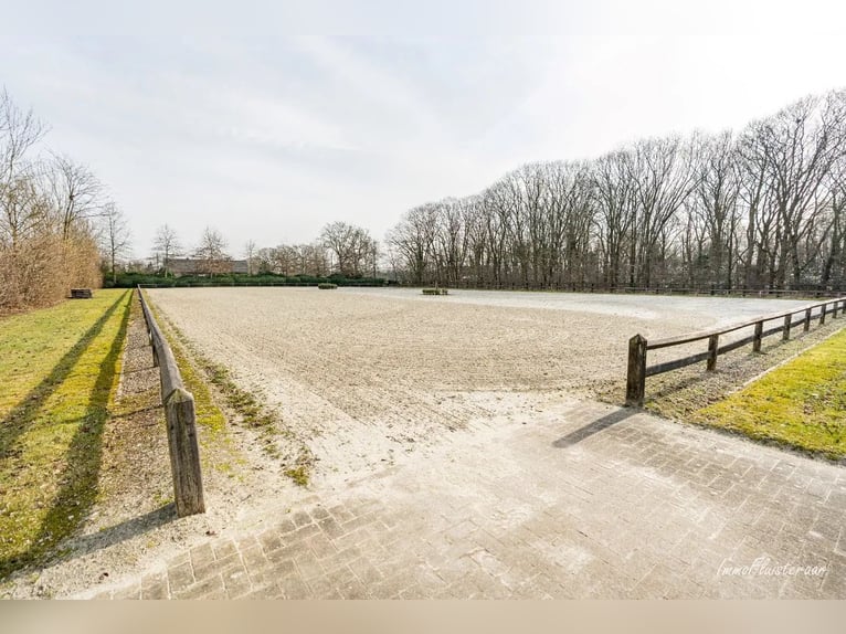 Stoeterij 'De Roshoeve' op ca. 2,4 ha te Geel