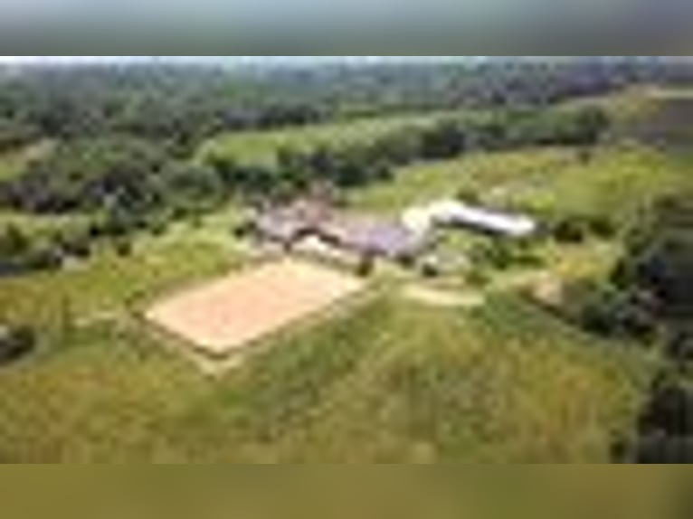 Stunning Chateau/Manoir in South West France