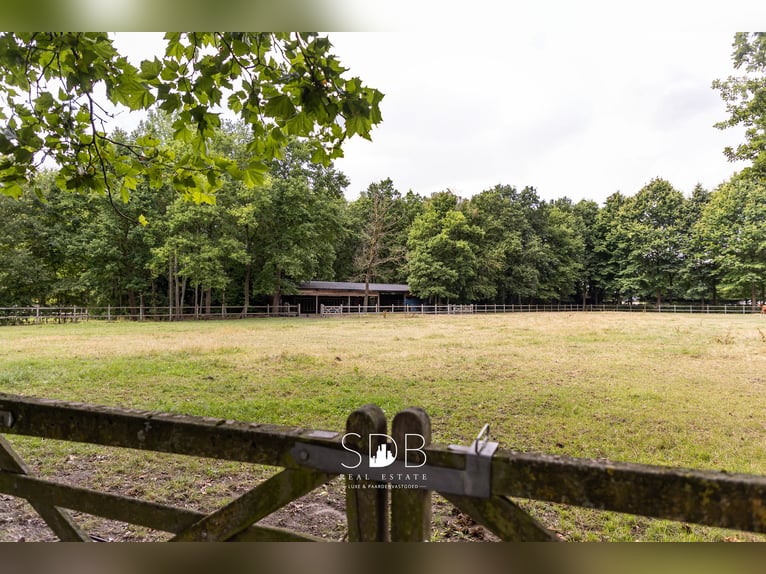 Stunning country villa with family garden and pasturelands on 32,558 m² in Lochristi | Belgium