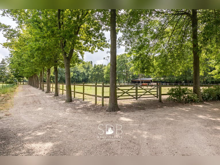 Stunning country villa with family garden and pasturelands on 32,558 m² in Lochristi | Belgium