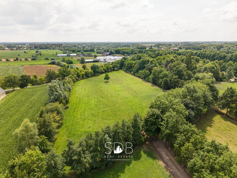 Stunning country villa with family garden and pasturelands on 32,558 m² in Lochristi | Belgium