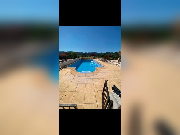 STUNNING EQUESTRIANPROPERTY/LANDHOUSE NEAR XATIVA/VALENCIA