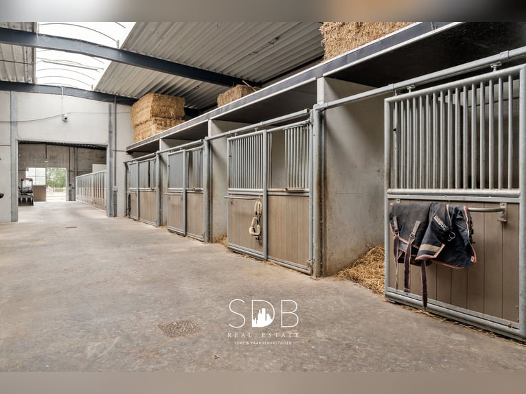 Stunning villa with equestrian facilities and pastureland on approximately 23 hectares – 9800 Deinze