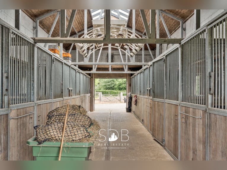 Stunning villa with equestrian facilities and pastureland on approximately 23 hectares – 9800 Deinze