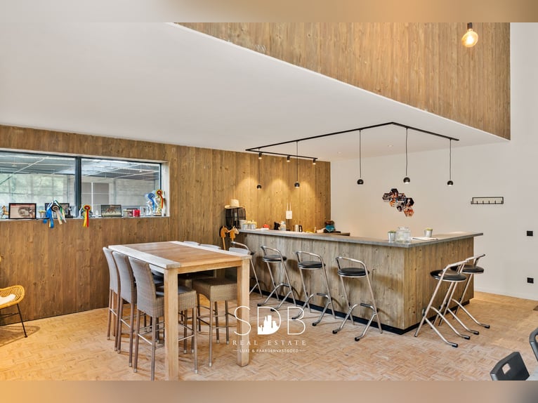 Stunning villa with equestrian facilities and pastureland on approximately 23 hectares – 9800 Deinze
