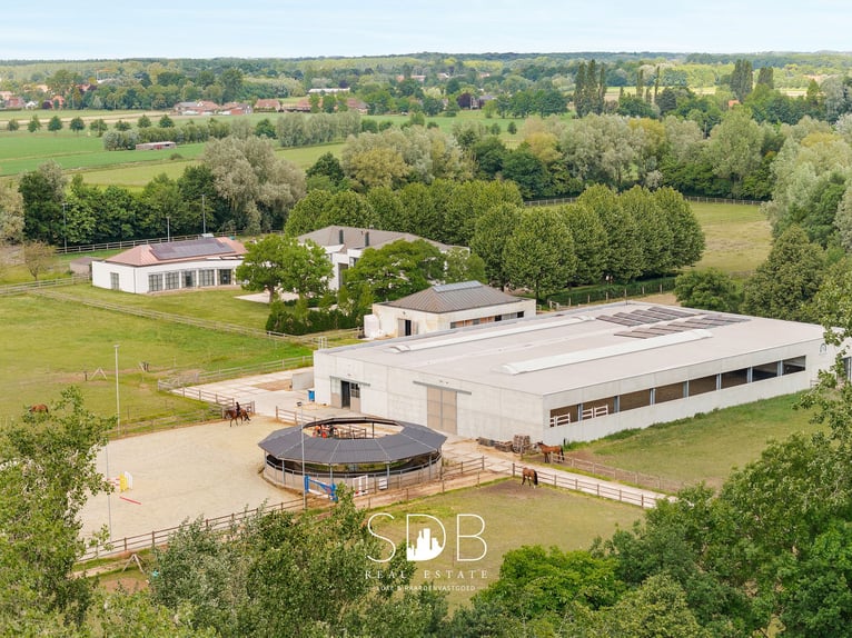 Stunning villa with equestrian facilities and pastureland on approximately 23 hectares – 9800 Deinze