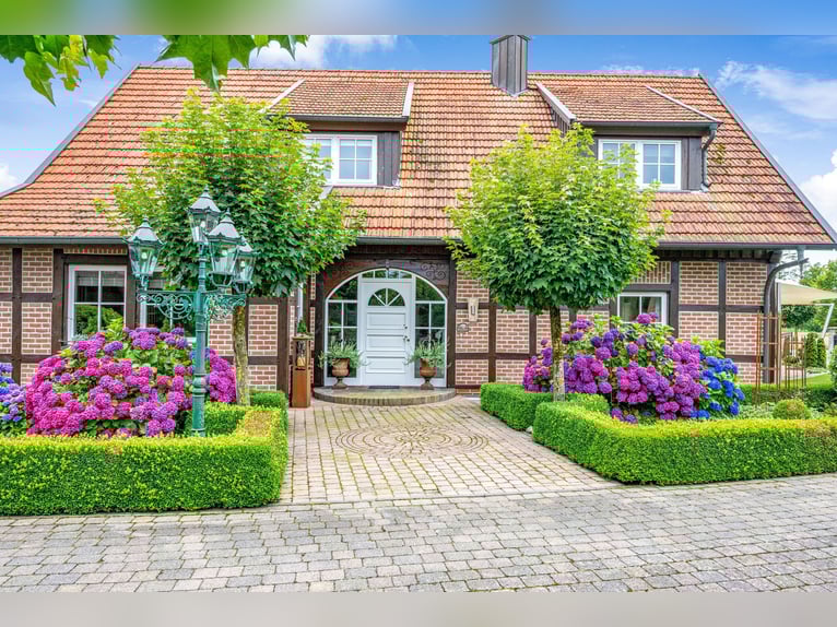 Suitable for horses and impressive: Farm estate with two residential buildings and extensive land cl