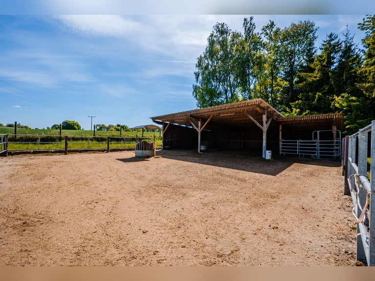 THE RANCH – An Exceptional Equestrian Centre