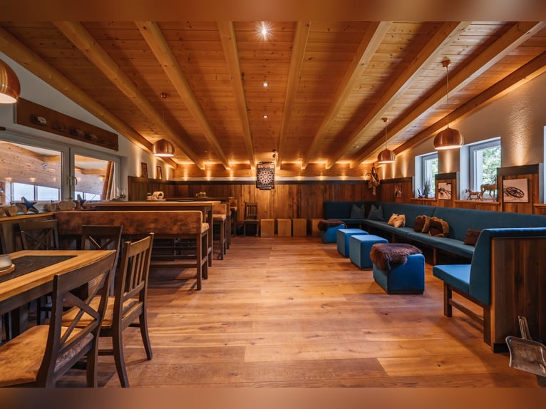 THE RANCH – An Exceptional Equestrian Centre