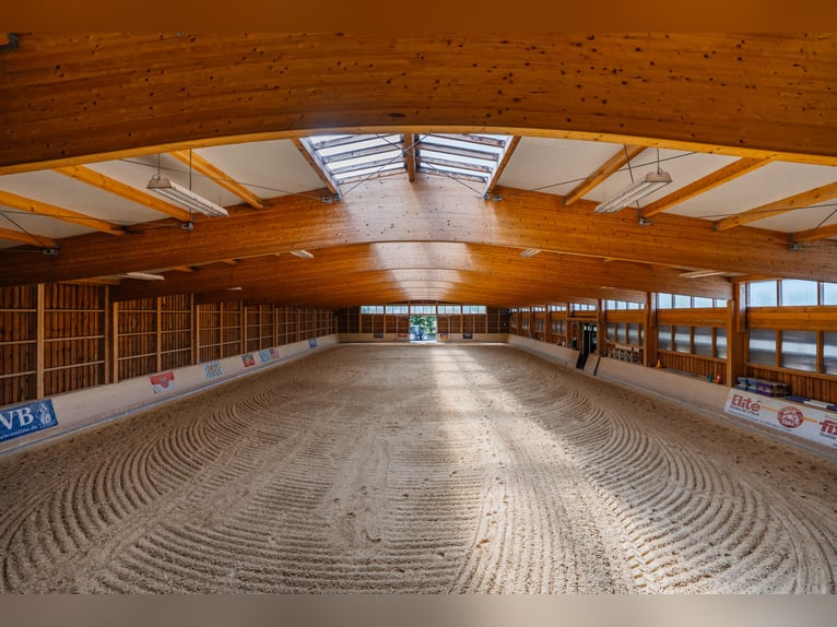 THE RANCH – An Exceptional Equestrian Centre