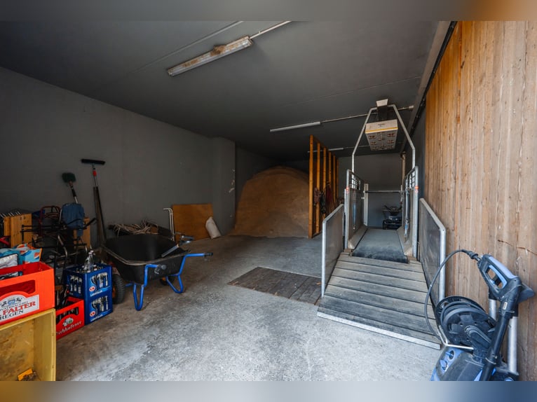 THE RANCH – An Exceptional Equestrian Centre