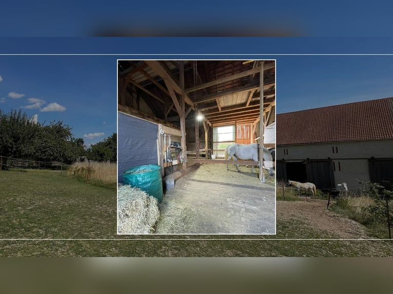 Three-sided farmstead as a haven of well-being – residential house, horsekeeping with 1.6 hectares o