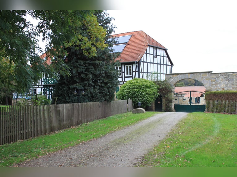 Traumhaft schöner Landsitz mit eigenem Wald, Reiterhof u.v.m. in ruhiger Lage mit guter Anbindung