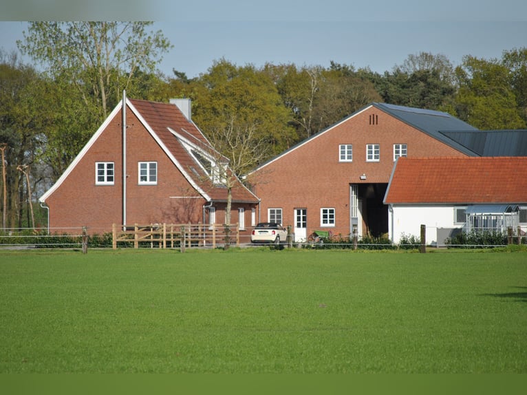 Traumhafte Reitanlage in Bestlage nähe Vechta !