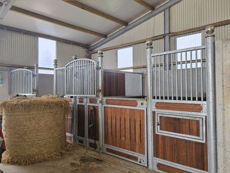 Traumhafter Bungalow mit Stall für Pferdeliebhaber