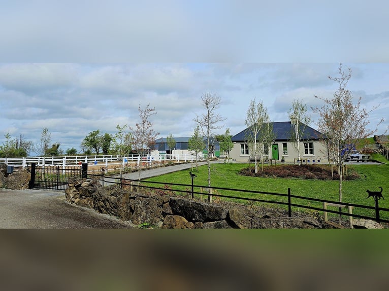 Traumhafter Bungalow mit Stall für Pferdeliebhaber